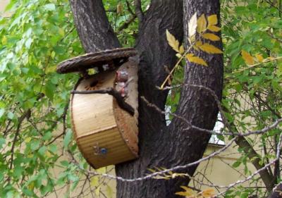 Прикрепленное изображение: DSCF6239.jpg